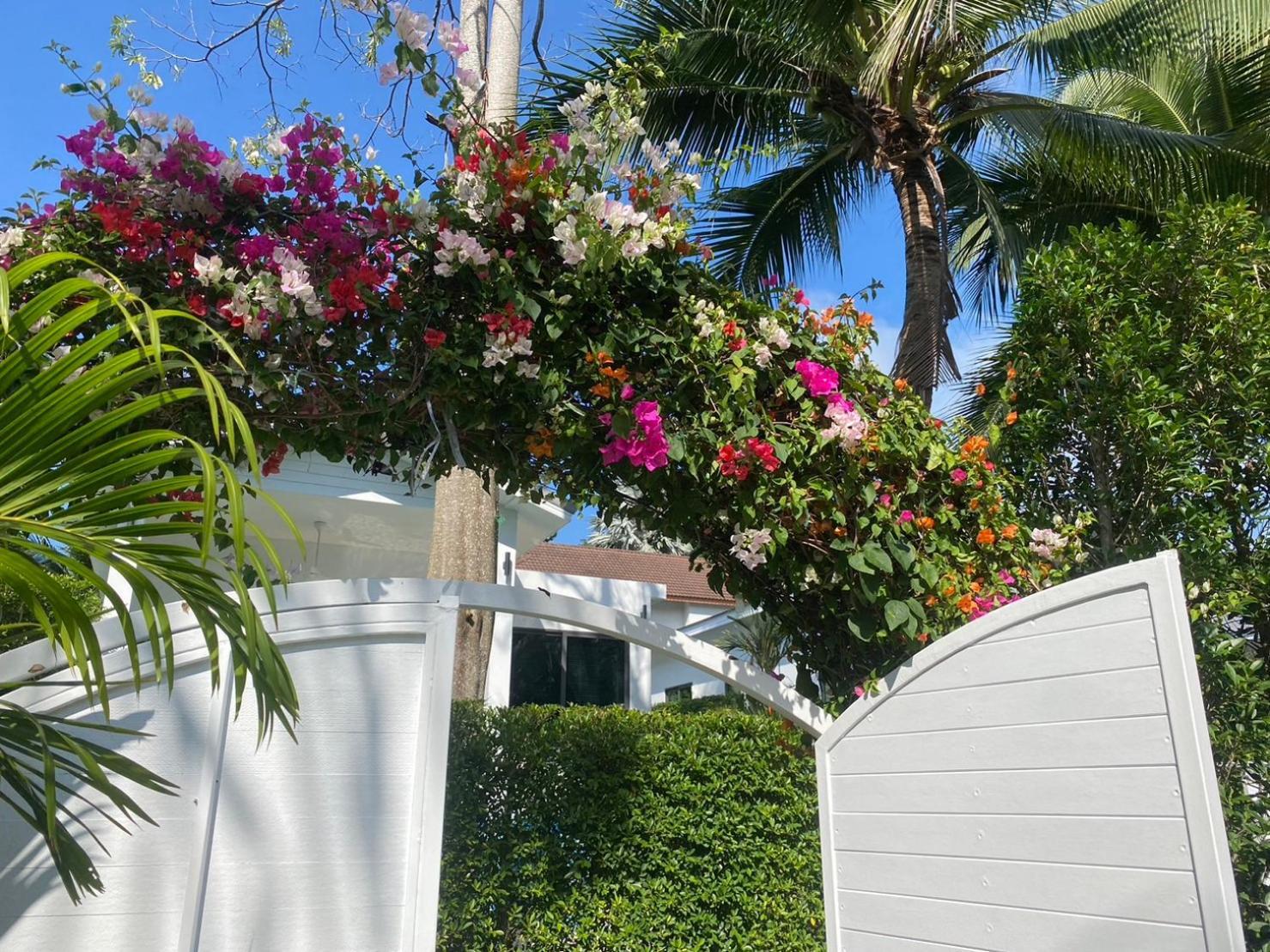 Bougain Villas Salad Beach Esterno foto